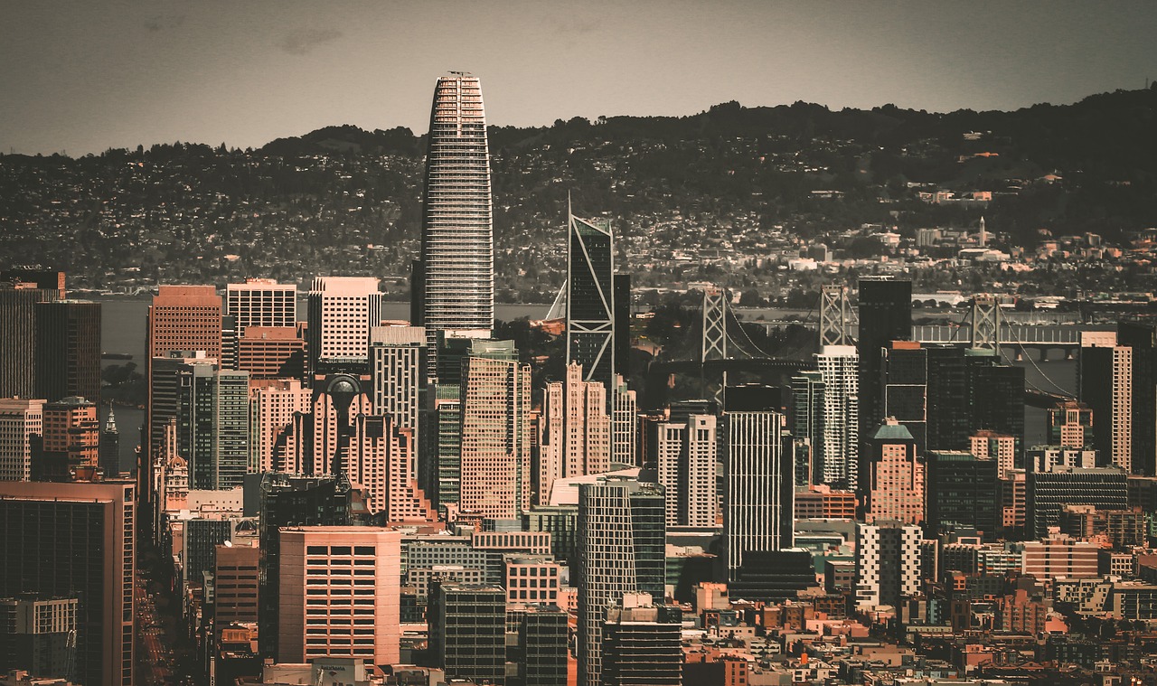 而是真正的 而是真正的