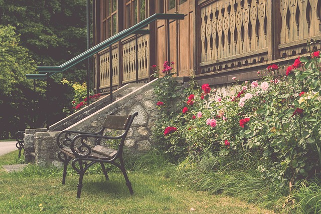 在巴西国家 在巴西国家