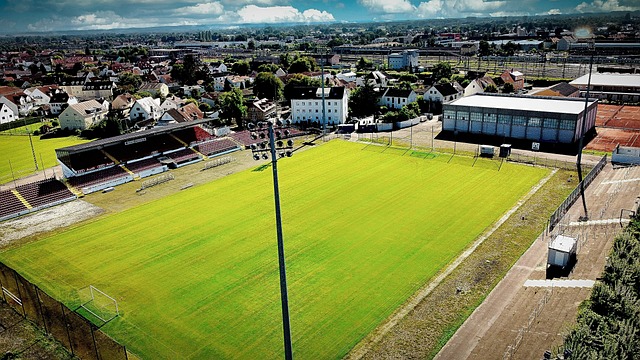 成为议题的 成为议题的