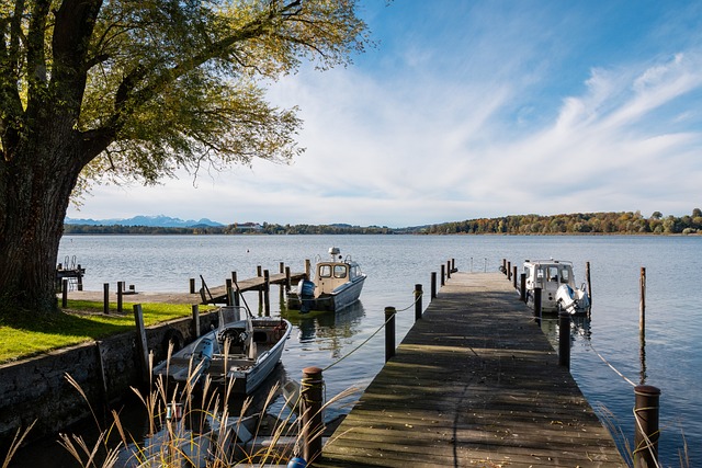 需进一步研 需进一步研